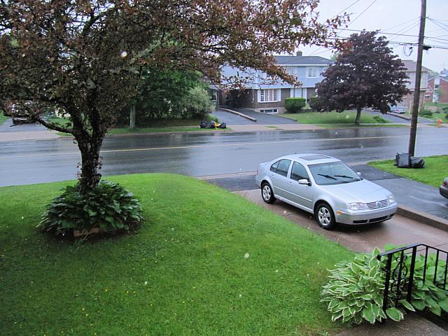 Front yard