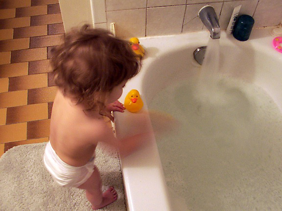 Quack quack!